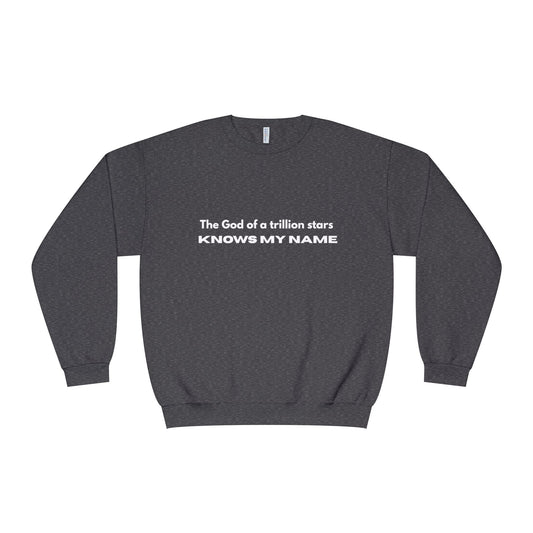 The God of a trillion stars Sweatshirt